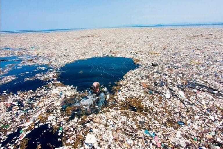 La isla de basura en el Océano Pacífico - Impressiones mx