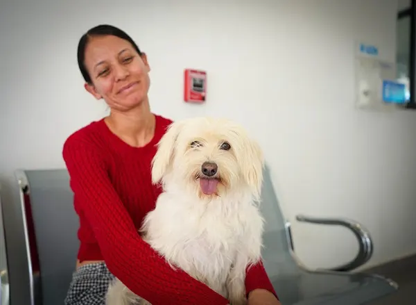 Más de 67 mil mascotas fueron atendidas en León