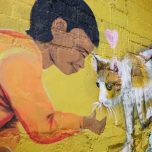 Murales y fachadas pintadas en uno de los andadores intervenidos en La Agüita, Ecatepec.