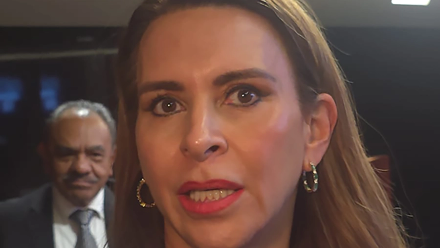 Carolina Viggiano, senadora del PRI, durante una intervención en el Senado de la República.