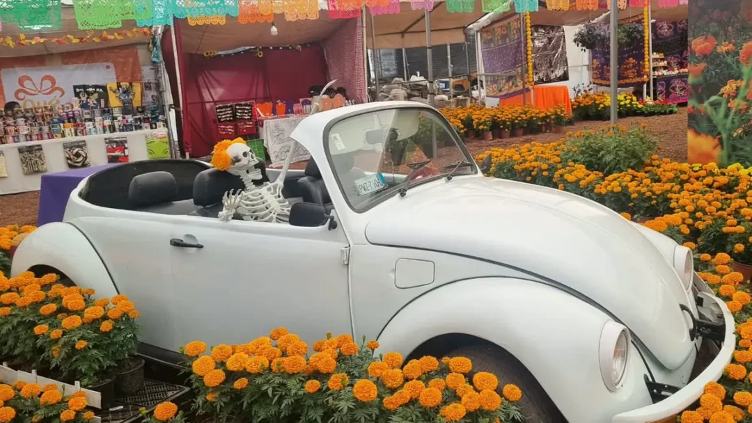 Xoloitzcuintle entre cempasúchiles en la Ruta del Mictlán de Atlixco